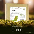 Zestaw do filcowania T-rex