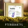 Zestaw do filcowania pterodaktyl