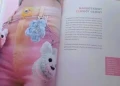 Stitcharys. webp