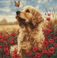 Zestaw do haftu Luca-S Golden Retriever