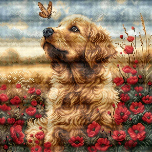 Zestaw do haftu Luca-S Golden Retriever