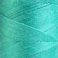 Kolor 0889