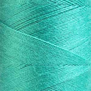 Kolor 0889
