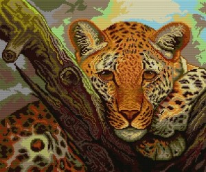 Kanwa z nadrukiem lampart (7001)