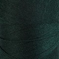 kolor 0855