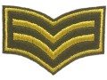 Naszywka pagon