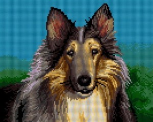Kanwa z nadrukiem Owczarek Collie (5484)