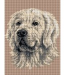 Kanwa z nadrukiem Golden Retriever (5049) 