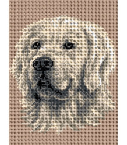 Kanwa z nadrukiem Golden Retriever