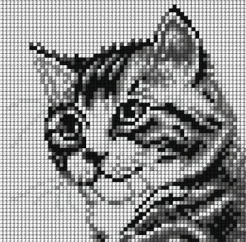 Kanwa do haftu kotek