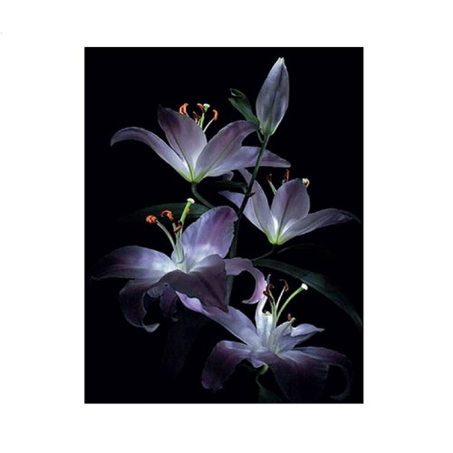 Haft diamentowy - lilie