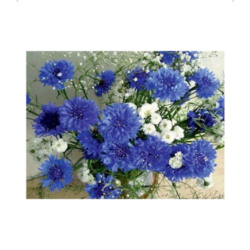Haft diamentowy chabry