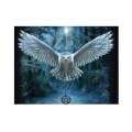 Diamond painting sowa