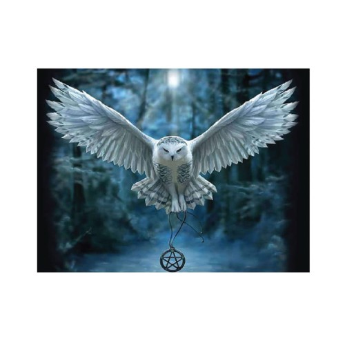 Diamond painting sowa