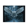 Diamond painting sowa