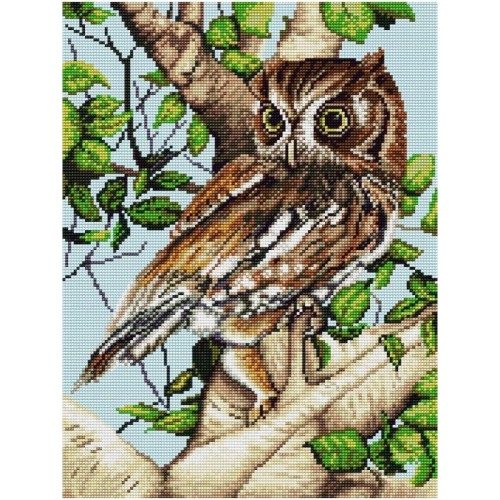 Kanwa z nadrukiem sowa