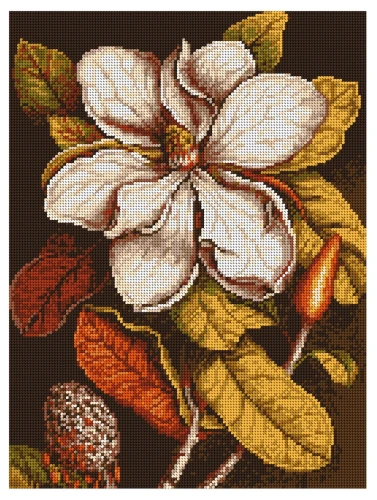 Kanwa z nadrukiem kwiat 8053