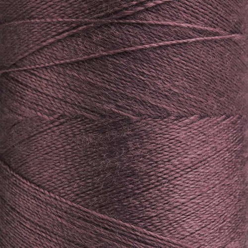 kolor 0817