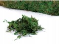 Naturalny mech dekoracyjny