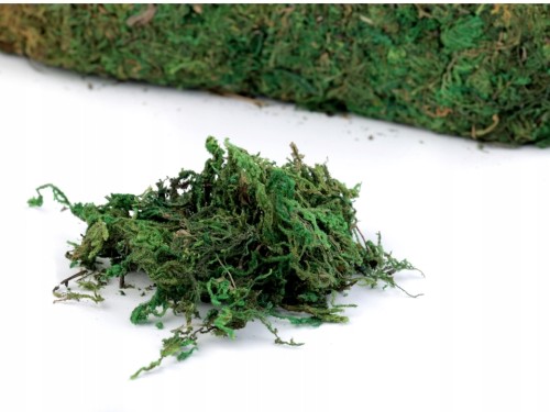 Naturalny mech dekoracyjny